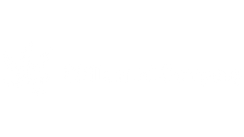 Chillennial Company